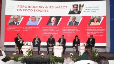 شنتال صباغ: الصناعات الغذائية تشكل أكثر من 10% من محفظة المشروعات الصغيرة والمتوسطة بالبنك الأهلى المصري