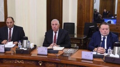 رئيس الوزراء يتابع آليات توفير الأعلاف اللازمة لقطاع صناعة الدواجن بحضور محافظ البنك المركزي