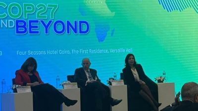 داليا عبدالقادر: البنوك والمؤسسات المالية تلعب دورا هاما في حل المشكلات البيئية