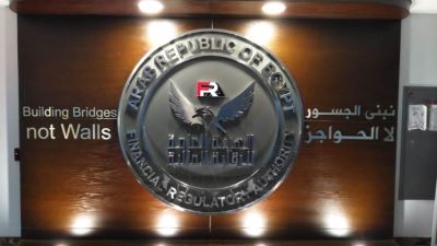 الرقابة المالية: ارتفاع تمويلات المشروعات متناهية الصغر لـ38.7 مليار جنيه بنهاية 2022