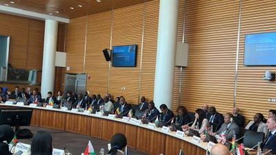 المشاط: الشراكة مع البنك الدولي تتضمن محورين رئيسيين لزيادة الاستثمار في رأس المال البشري 