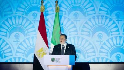 حسن عبدالله: اجتماعات التنمية الأفريقي بمصر نقطة انطلاق لمزيد من الجهود الداعمة لاستقرار اقتصاديات القارة