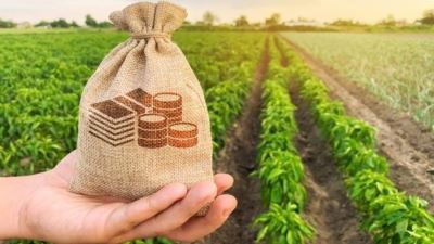 المركزي: البنوك تضخ 1.95 مليار جنيه قروض للقطاع الزراعي خلال شهرين