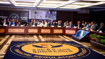 "الهجرة" والرقابة المالية" تطلقان أول وثيقة معاش بالدولار للمصريين في الخارج " معاش بكرة بالدولار"