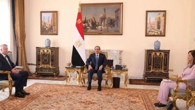 الرئيس السيسي يستعرض سبل تحقيق النمو في الابتكار والتحول الرقمي بالتنسيق مع منظمة التعاون الاقتصادي 