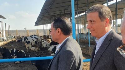 علاء فاروق: البنك الزراعي المصري يوفر كافة مقومات النجاح لمبادرة "إحلم" لتمويل وتوزيع رؤوس الأبقار