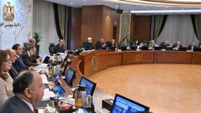 وزير المالية يستعرض موقف مبادرة استيراد سيارات المصريين بالخارج