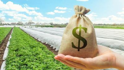 البنك المركزي: 119.4% نموًا بقروض القطاع الزراعي بالعملة الأجنبية خلال 6 سنوات