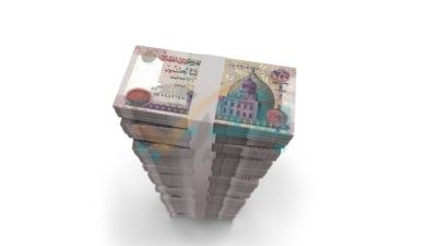 ارتفاع محفظة قروض بنك الإستثمار العربي إلى 22.76 مليار جنيه بنهاية 2023