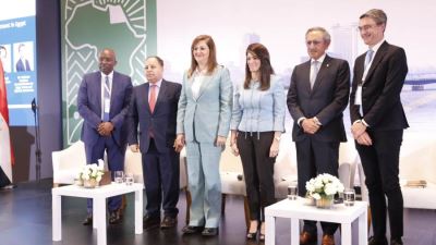 وزير المالية: نعمل على ضخ المزيد من التدفقات الاستثمارية الخاصة فى شرايين الاقتصاد المصرى  