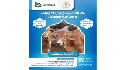 بنك قناة السويس يتيح شراء صكوك الأضاحي بالتعاون مع وزارة الأوقاف المصرية