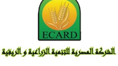 عمرو توفيق رئيساً غير تنفيذيا للشركة المصرية للتنمية الزراعية والريفية