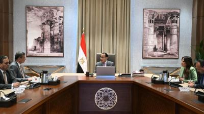 علاء فاروق : الصادرات الزراعية ركيزة أساسية لحركة الاقتصاد وأحد أهم مصادر دعم الاحتياطي النقدي بالعملة الأجنبية