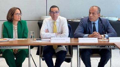 حسن الخطيب: متوقع تحقيق مصر زيادة مستدامة في تدفقات الاستثمار الأجنبي المباشر