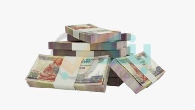 المركزي: التسهيلات الائتمانية الممنوحة للقطاع الزراعي ترتفع لـ60.088 مليار جنيه بنهاية مايو 2024