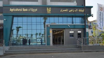 مراكز تطوير الأعمال بالبنك الزراعي تُقدم خدمات استشارية مجانية للشباب في فعاليات اليوم العالمي للإدخار