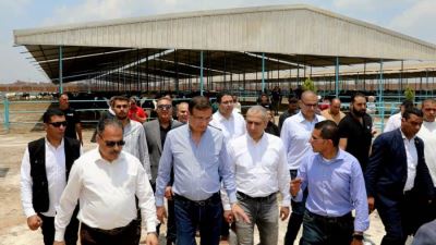 البنك الزراعي المصري يمول شراء 2000 رأس ماشية بقيمة 395 مليون جنيه لصالح  188 من صغار المربين بالشرقية