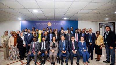 Central Bank of Egypt Hosts a Training Program on Micro and Macro Stress Testing for COMESA Central Banks