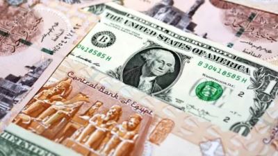 Egyptian Pound Continues to Strengthen Against the U.S. Dollar Amid IMF Program Developments