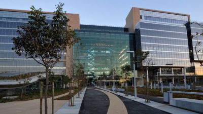 Standard Bank Strengthens Regional Presence with New Representative Office in Egypt