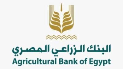 البنك الزراعي المصري يُنهي استعداداته لاستقبال موسم توريد القمح 2026