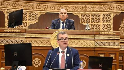 مجلس الشيوخ يستعرض مشروع خطة التنمية الاقتصادية والاجتماعية للعام المالي 2026/2027